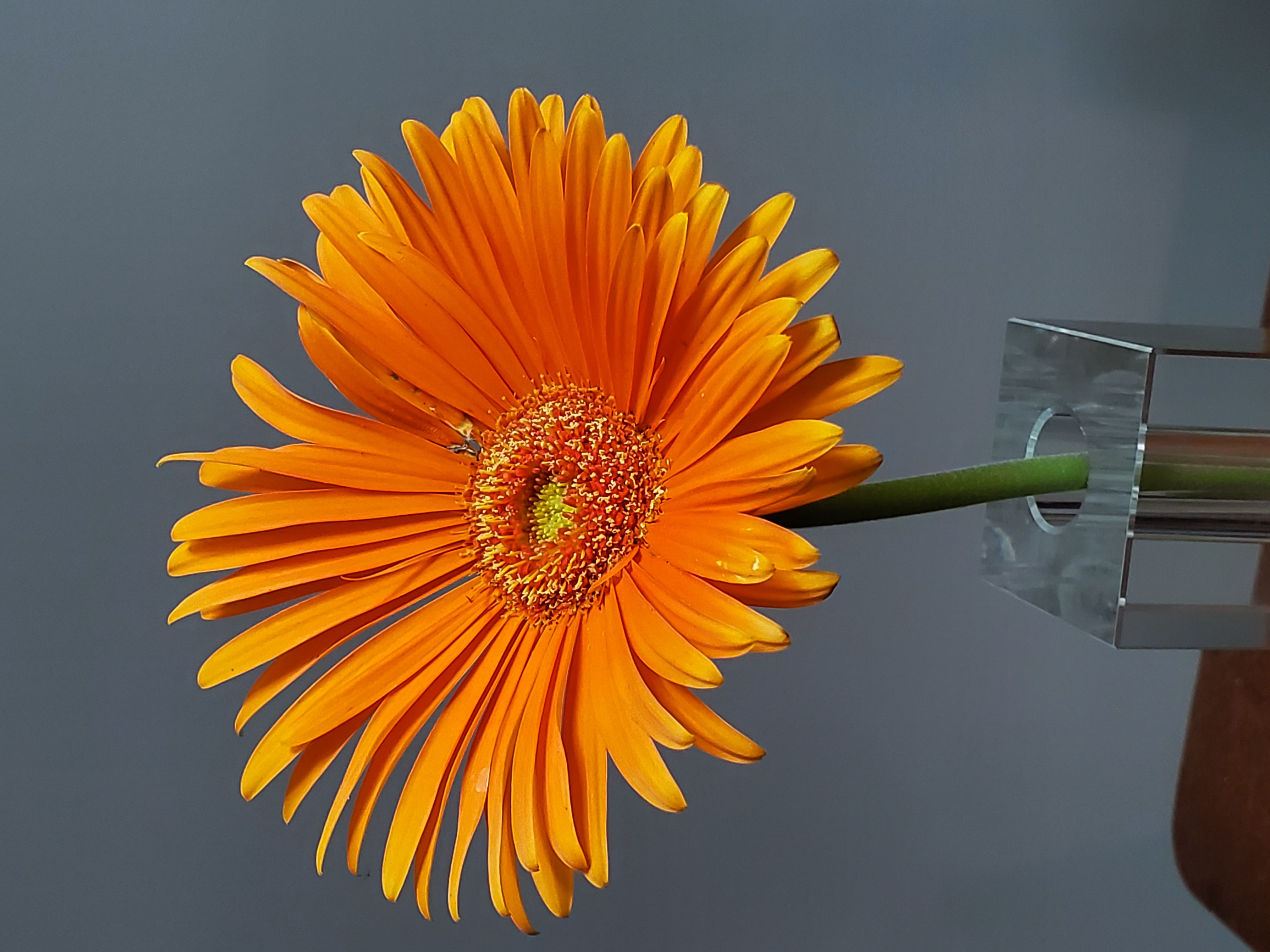 Portfolio Image 1