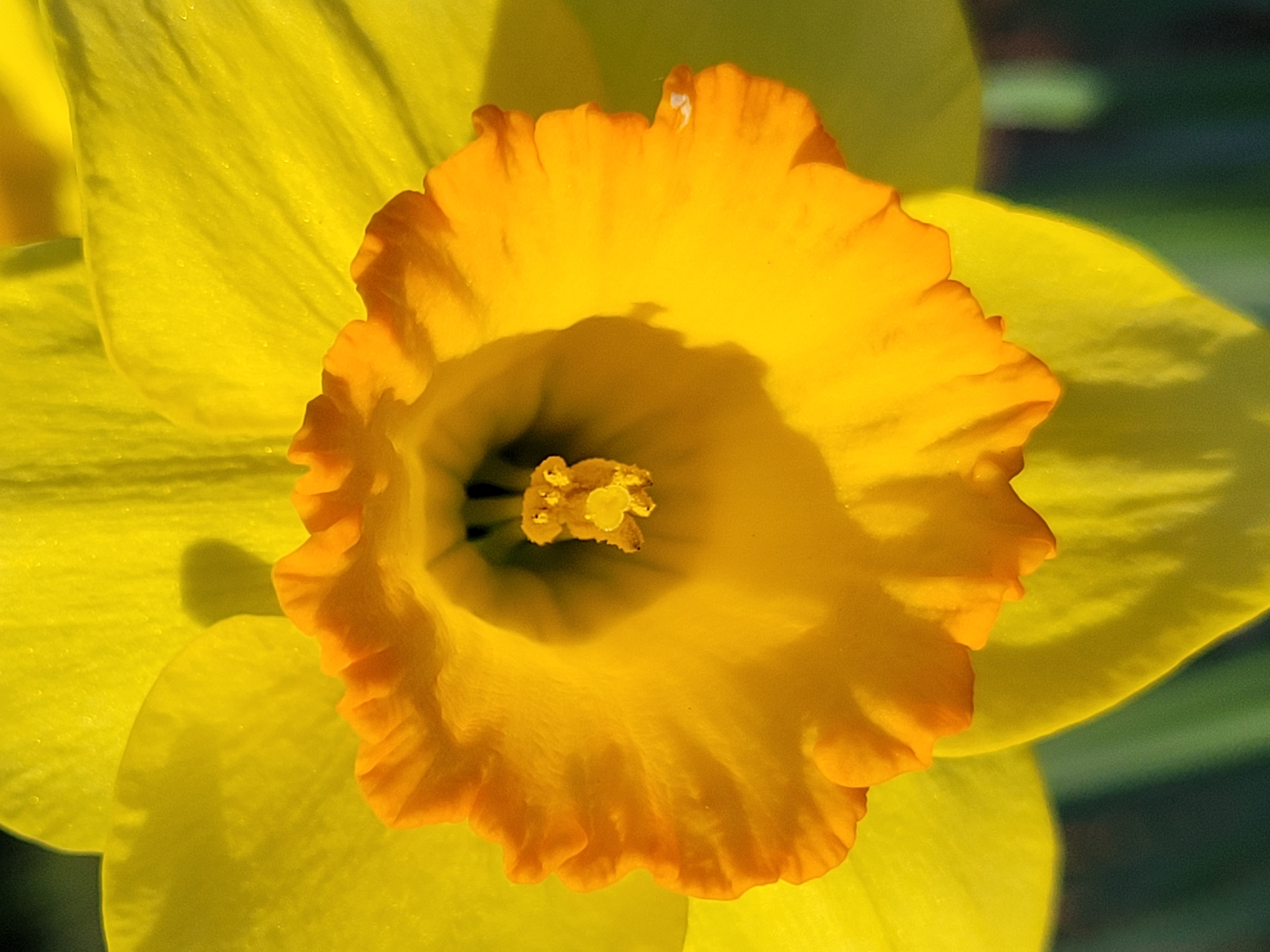 Portfolio Image 12