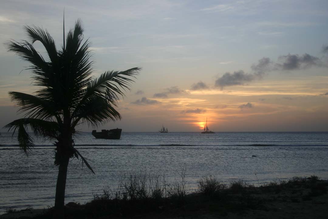 Portfolio Image 13