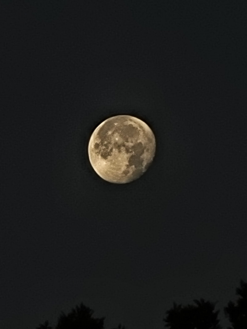 Portfolio Image 23