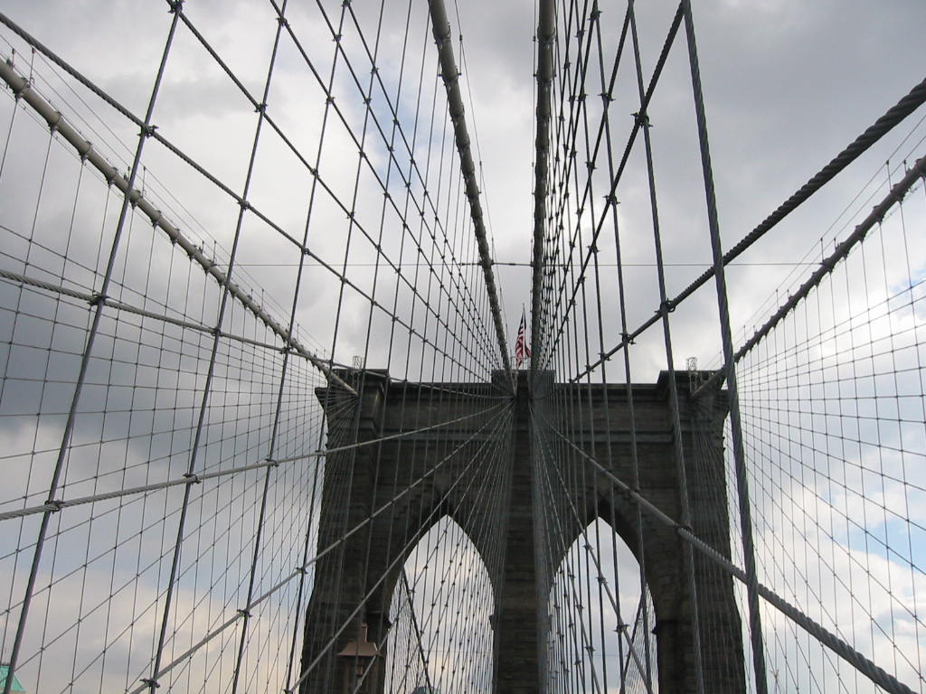 Portfolio Image 25
