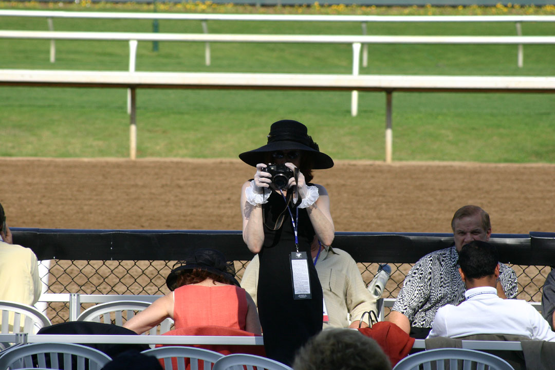 Portfolio Image 27