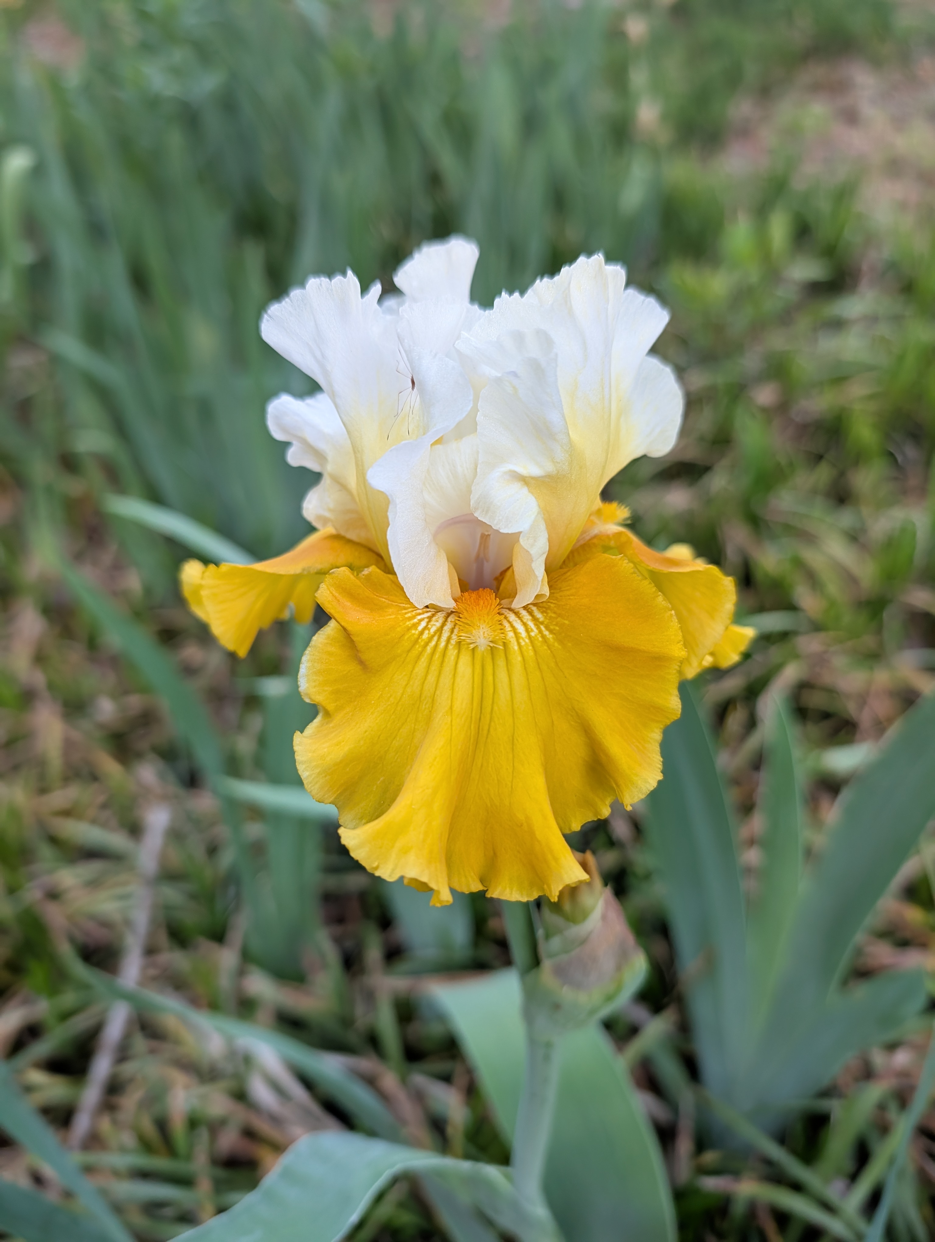 Portfolio Image 28