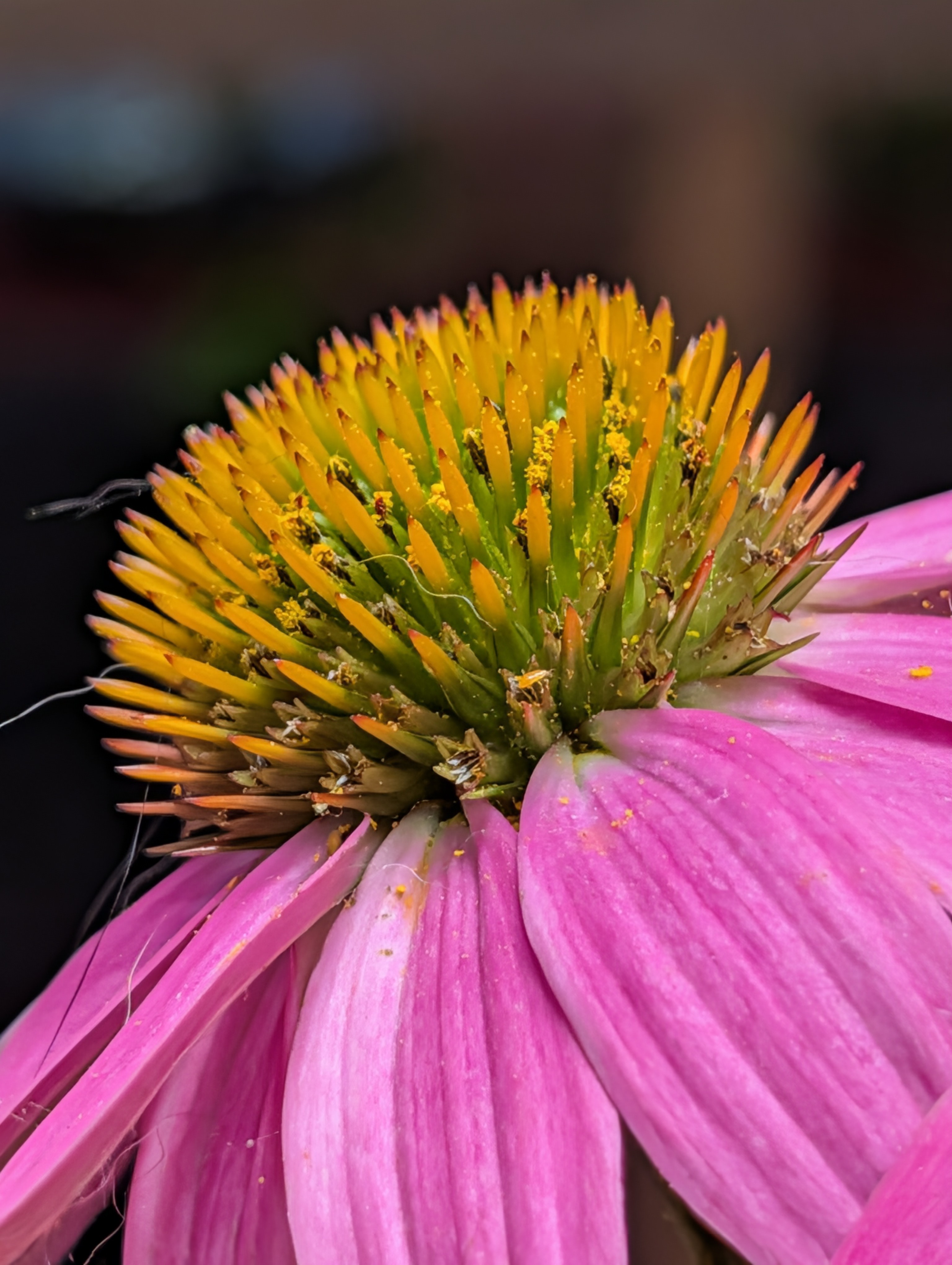 Portfolio Image 29