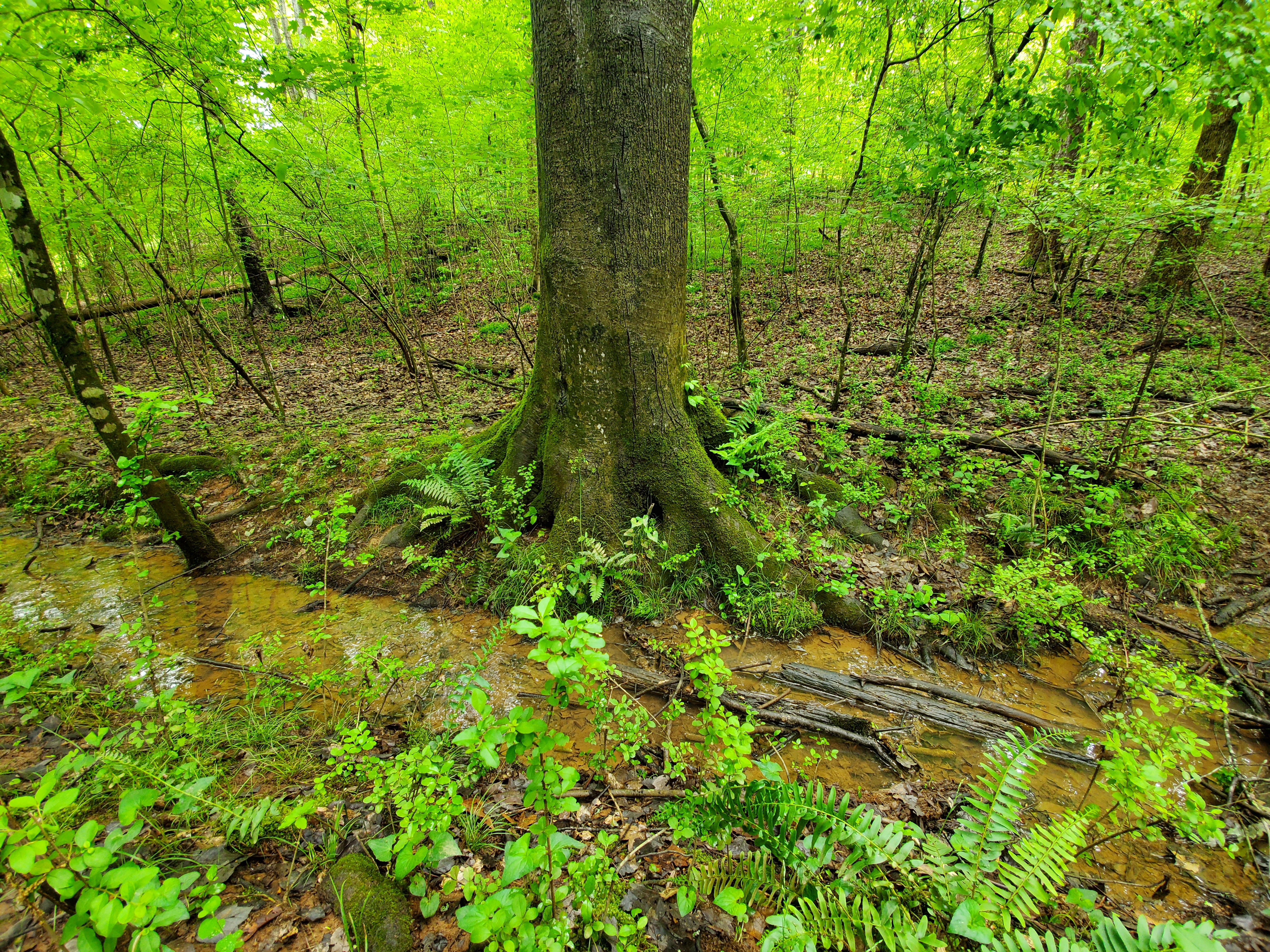 Portfolio Image 5